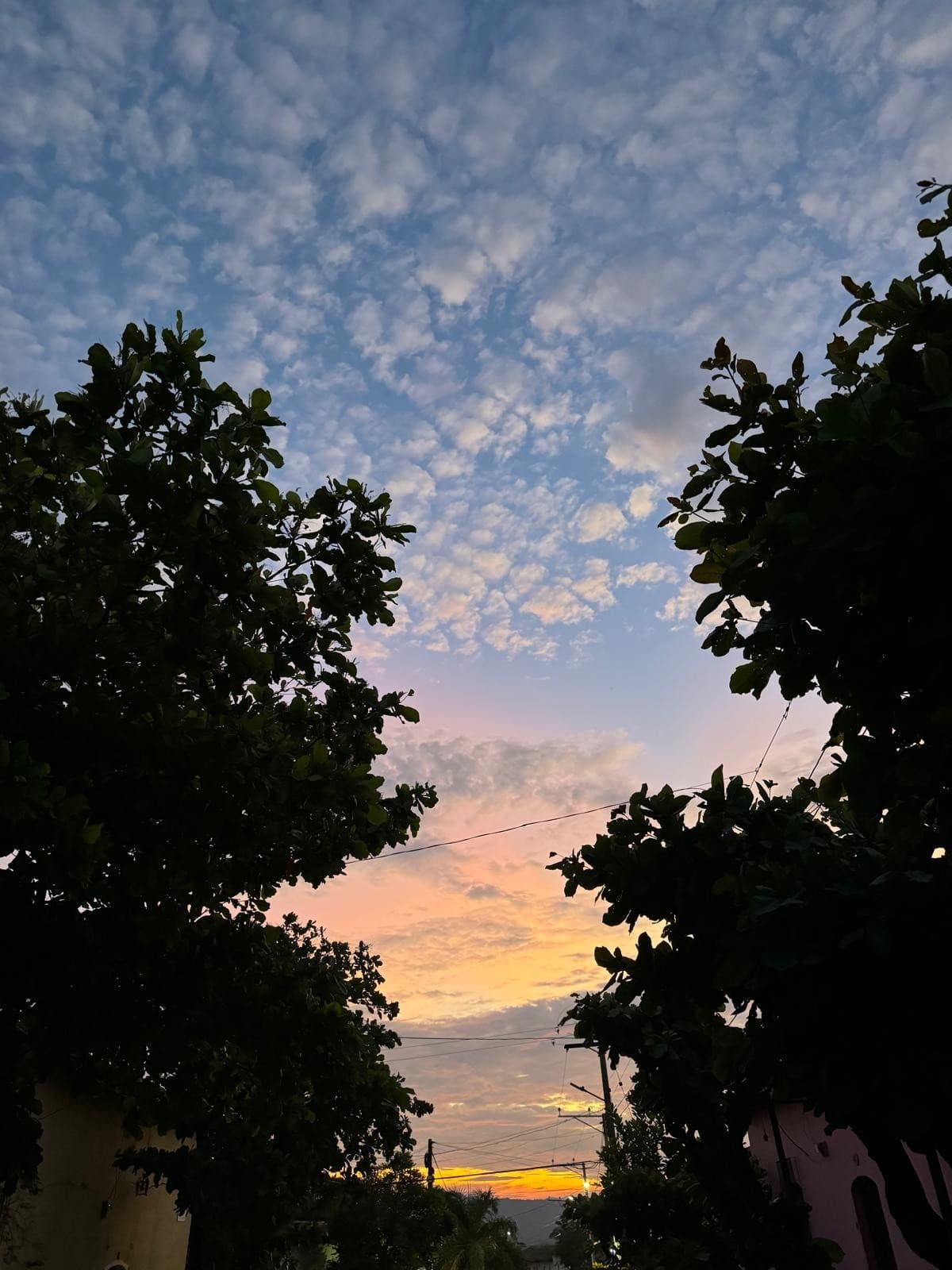 Sunset over the rooftops of Suchitoto, framed by trees along a street